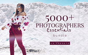 【P260】人像婚礼HDR博客LR合集5000+ Lightroom Preset Bundle