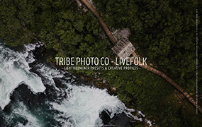 【P288】著名的TribePhoto胶片部落 人像摄影胶片色调LIVEFOLK LR+ACR预设
