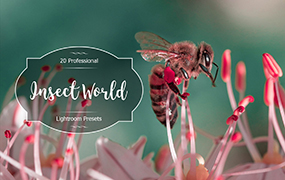 【P294】微距摄影昆虫世界Lightroom预设 Insect World Lr Presets