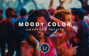 【P331】情绪人文摄影穆迪色调Lightroom预设7款 EmyselfDesign moody color