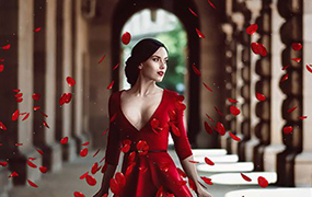 【M350】100张高清玫瑰花瓣叠加合成前景素材，让影像充满浪漫