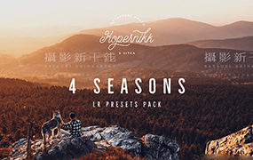 【P01】狼族四季科珀尼克超现实分级颜色Lightroom预设 Kopernikk 4 Seasons v1.1