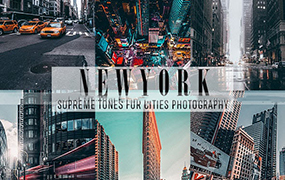 【P04】纽约INS黑金lightroom预设 SupremeTones NEWYORK