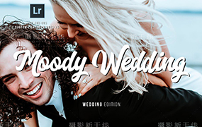 【P05】110款穆迪电影婚礼人像Lightroom预设 Moody Wedding