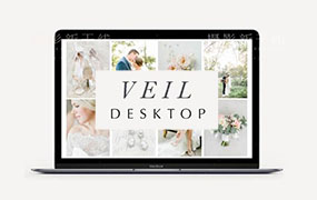 【P07】威尔工作室小清新婚礼预设Veil Classic Desktop Presets