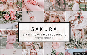 【P717】淡粉红樱花色Lightroom预设维多利亚蜜蜂LR预设VictoriaBee SAKURA Lightroom presets