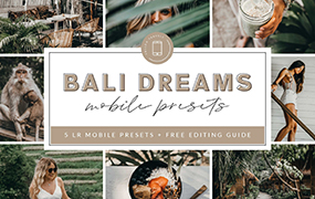 【P33】巴厘岛旅拍胶片预设Bali Lightroom MOBILE