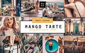 【P36】Ins天然布朗尼柔和风格Lightroom预设+手机版lr预设Mango Tarte