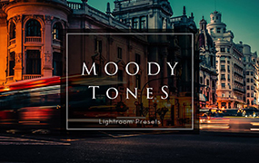 【P361】风靡INS的186组旅行扫街风景Lightroom预设Moody Tones Lightroom Presets