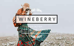 【P502】时髦胶片风格徕卡Lightroom预设 VictoriaBee WINEBERRY Hipster