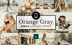 【P563】橙金中性灰高级色调Lightroom预设ACR/手机LRSmazingStudio Orange Gray