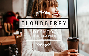【S564】Instagram摄影博主冬季明亮Lightroom预设Ins风格Lightroom Presets