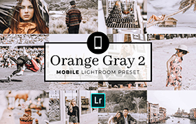 【P616】橙金中性灰高级色调Lightroom预设第2季SmazingStudio OrangeGray2
