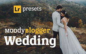 【P619】 卓越婚礼！Hydrozi Moody Wedding婚礼人像Lightroom预设Blogger