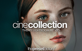 【P688】预设工厂好莱坞电影胶片预设The Preset Factory Cine Collection