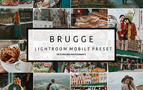 【P722】比利时旅游摄影布鲁日人像旅拍LR预设+移动LR预设 VictoriaBee BRUGGE