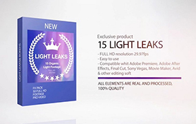 【F51】漂亮优雅镜头炫光光晕动画素材15个 Light Leaks