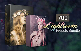 【P79】700组浪漫幻想系列Lightroom预设合集700 Amazing Lightroom Presets