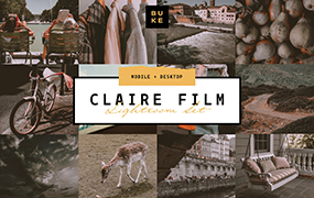 【P87】VSCO风格情绪电影胶片预设BukeShop Claire Film