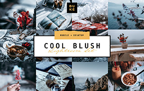 【P25】当前最流行的高级中性灰蓝色Lightroom预设 BukeShop Cool Blush lightroom presets