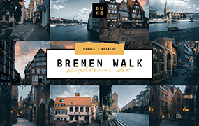 【P110】漫步布莱梅旅拍深色蓝灰色调LR预设 BukeShop Bremen Walk