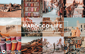 【P708】摩洛哥ins旅拍人像棕色lightroom预设