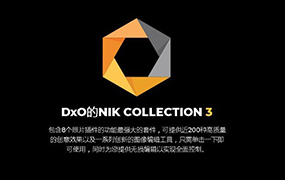 【S785】PS 滤镜套装NEW DxO Nik Collection 3.3 Win/Mac 含教程