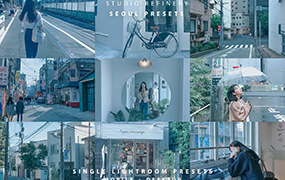 【P168】ins风清雅蓝灰LR/PS预设 Studio Refinery SEOUL Lightroom Presets