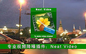 【F187】最强最优秀专业视频降噪插件 Neat Video Pro 5.3.0 Win一键安装注册