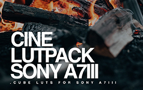 【P174】索尼A7III专业视频LUT预设CMG – Cine LUTs for Sony A7III