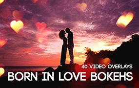 【S346】Born in Love Bokehs40组婚礼爱情浪漫光效光斑效果视频素材+中文PS面板