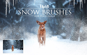 【S545】冬天雪地雪景后期PS笔刷 25 SNOW BRUSHES FOR PHOTOSHOP