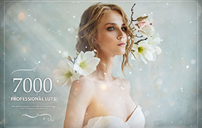 【P300】500个梦幻童话时尚婚礼情感食物发光森林爱情LUTS调色预设 7000+ Professional LUTs
