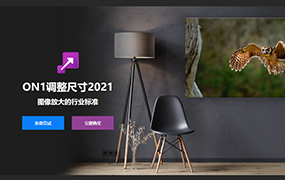【S199】终极图像缩放器 ON1 Resize 2021中文版 放大图片1000%Win/MAC