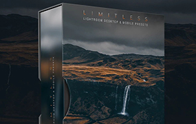 【P888】最流行的扫街黑金调LR预设 NewEraPresets limitless Lightroom Presets