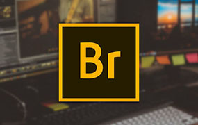 【S33】Adobe的灵感管理神器Bridge2025 15.0.3 WIN系统 右键可进入ACR