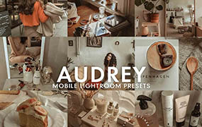 【P946】莫兰迪灰色调LR预设/手机预设调色滤镜 5 AUDREY Mobile Lightroom Presets