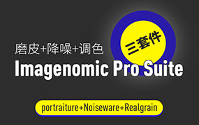 【S1016】PS磨皮降噪调色插件三件套V2001+一键PS动作 最新汉化版 Imagenomic Professional Plugin Suite