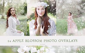 【M906】适合摄影师的白色花朵春天照片叠加素材