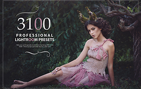 【P949】3000+专业人像、婚礼、新生儿、复古、美食和电影LR预设Inkydeals 3000+ Unique & Dramatic Lightroom Presets