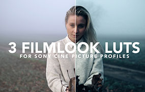【P1002】德国摄影师电影LUTS Christian Maté Grab 3 Filmlook LUTs for Sony Cine2/Cine4