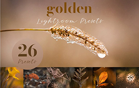 【P1024】微距摄影风光金色调预设golden lightroom presets