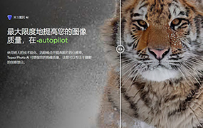 【S801】Topaz Photo AI v2.4.0免安装中文便携版+自带离线模型包 图片模糊放大清晰修复/锐化/降噪