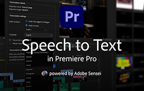 【F230】Adobe 2024 PR语音转字幕转换插件Speech to Text for Premiere Pro