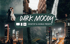 【P1155】黑暗穆迪PS/LR预设Dark Moody Presets