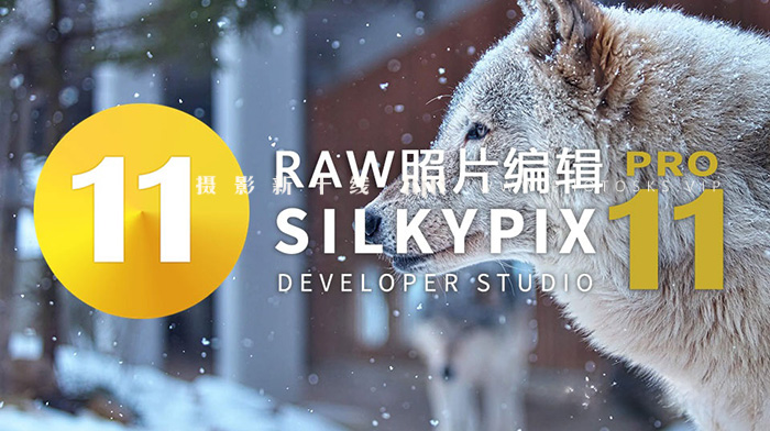 【S383】SILKYPIX Developer Studio Pro 11.0.13.0 x64汉化版|WinX64|RAW照片处理软件WinX64