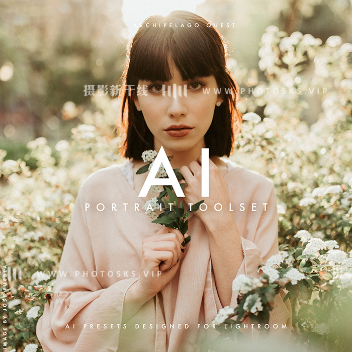 【P1237】部落群岛-AI人工智能人像修饰中文汉化版PS/LR预设工具 Archipelago-Ai Portrait Toolset