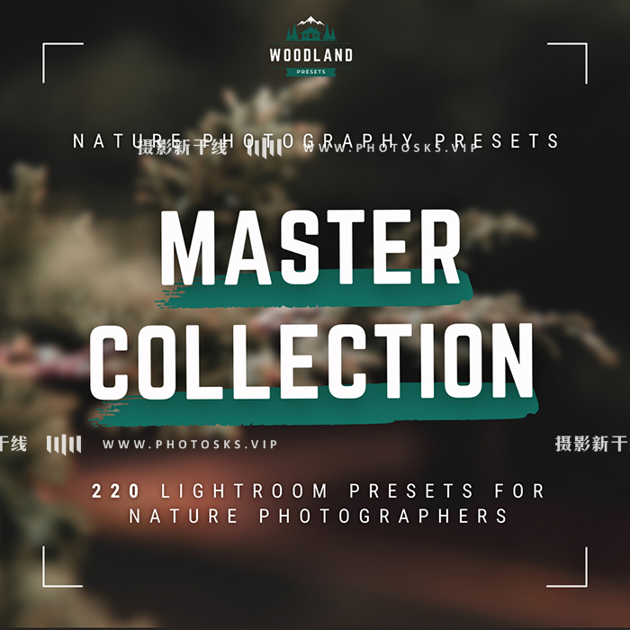 【P1246】自然摄影预设Master Collection Bundle 220 个 PS/LR 预设