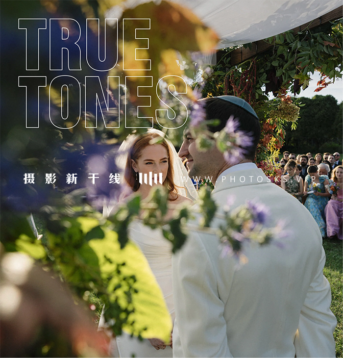 【P1319】Cara Zagni 婚礼预设The Editorial Edit