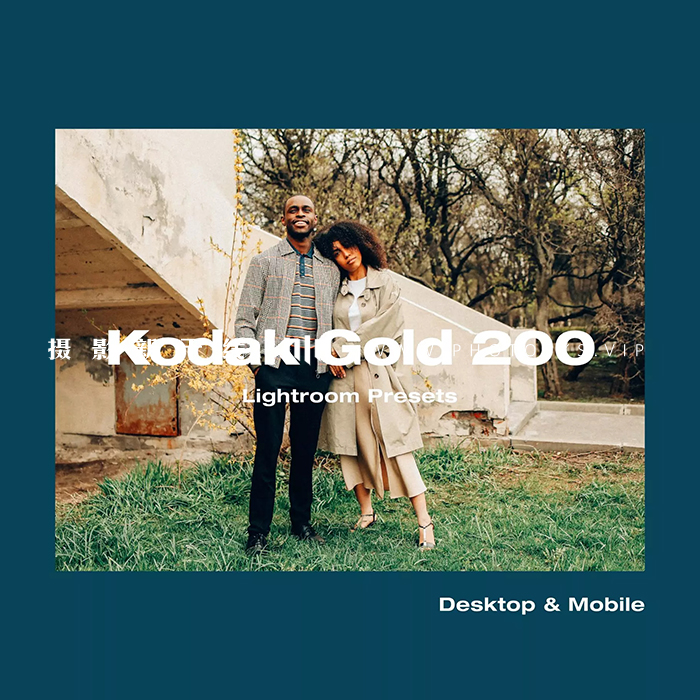 【P1335】柯达Gold200胶卷预设Modern Market Modern Kodak Gold 200